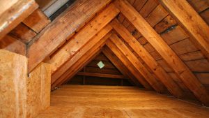 crawl space and attic cleaning